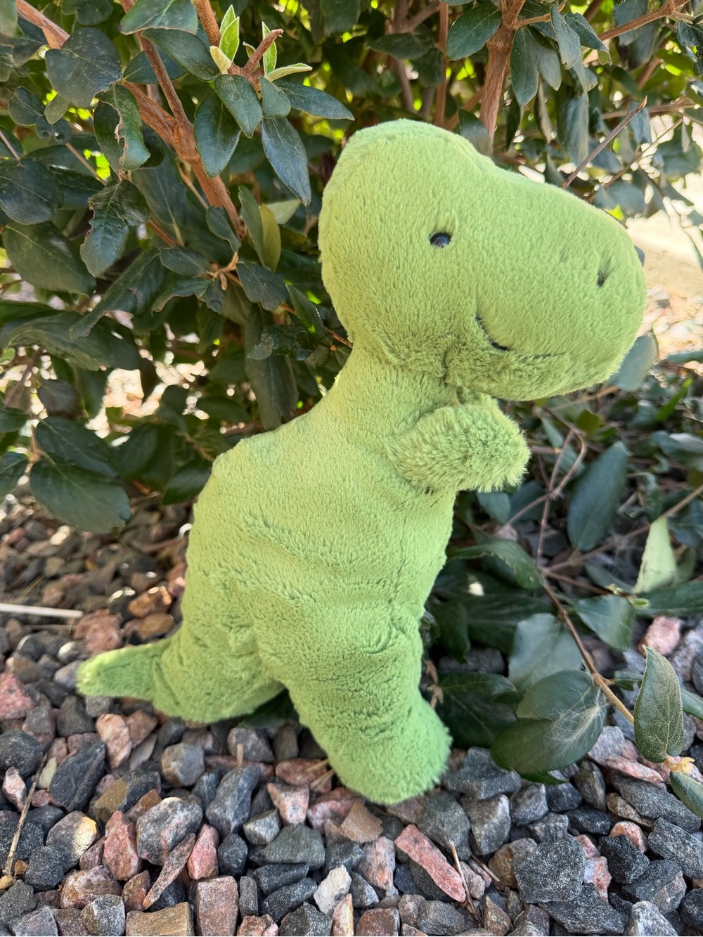 Retired 🔥 T-Rex Jellycat Lime Green Plush Dino like new